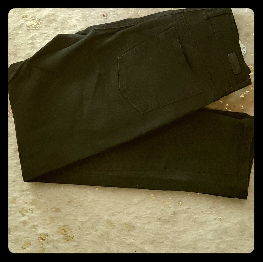 Petite Black Gloria Vanderbilts